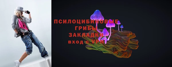 ГАЛЛЮЦИНОГЕННЫЕ ГРИБЫ Алексеевка